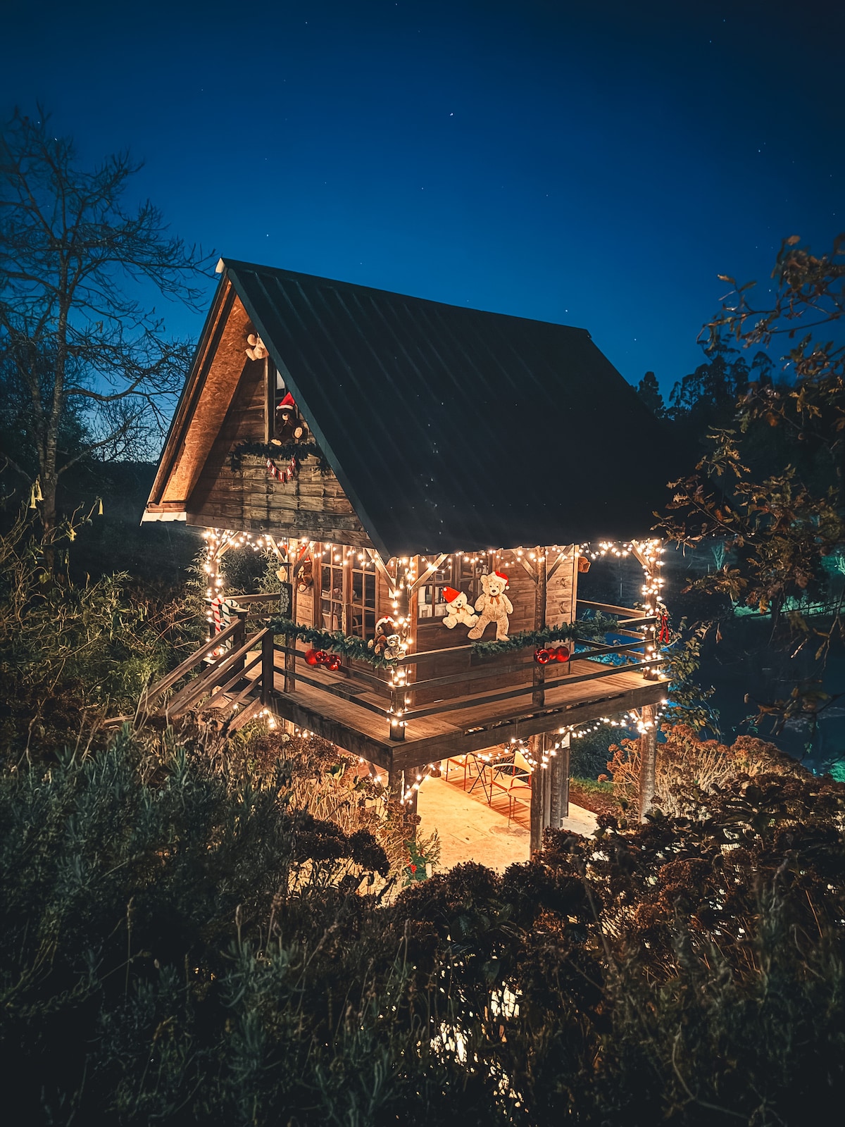 Stilt Tree House/Vale da Silva别墅/禁止儿童入住