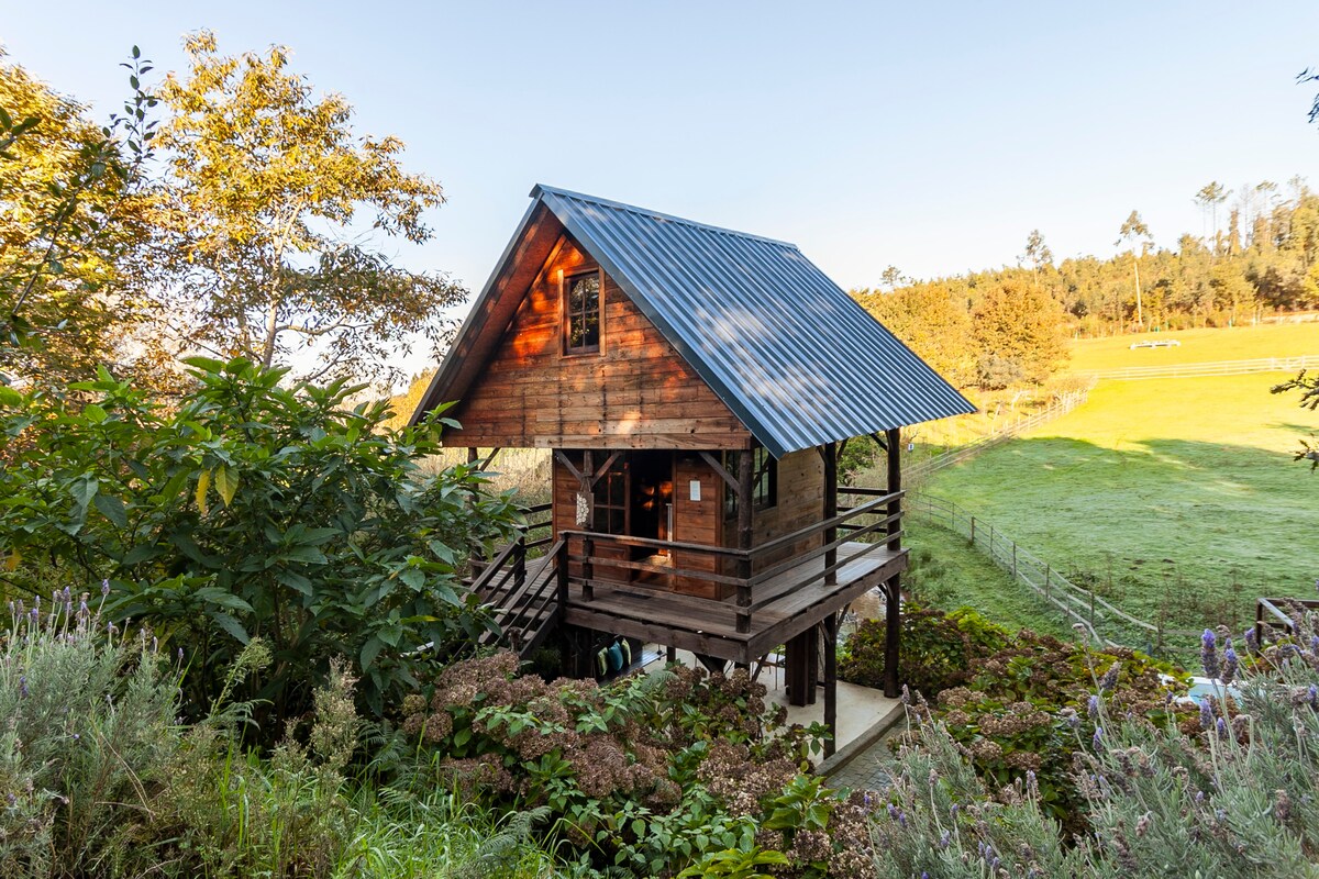 Stilt Tree House/Vale da Silva别墅/禁止儿童入住