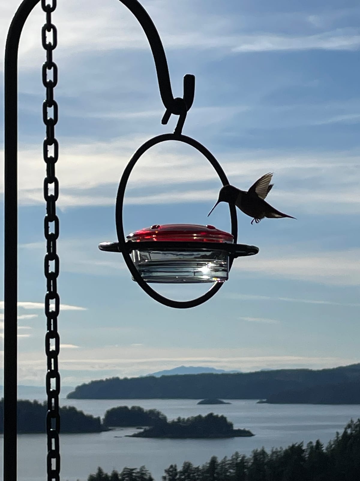 Above Bowen Bay Beach: 
海景天堂