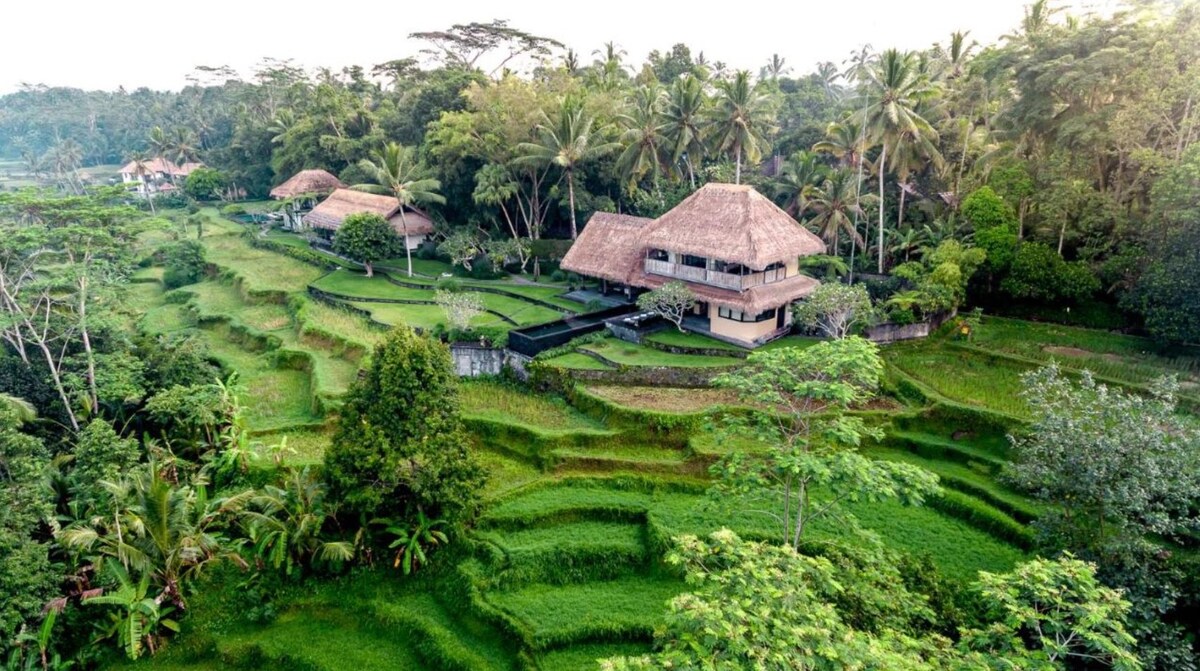 位于乌布（ Ubud ）的豪华稻田景观4卧室别墅！