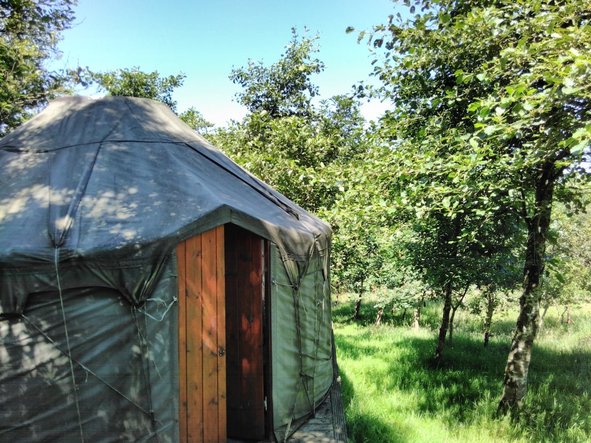 Alden Woodland Yurt, Cronkshaw Fold Farm