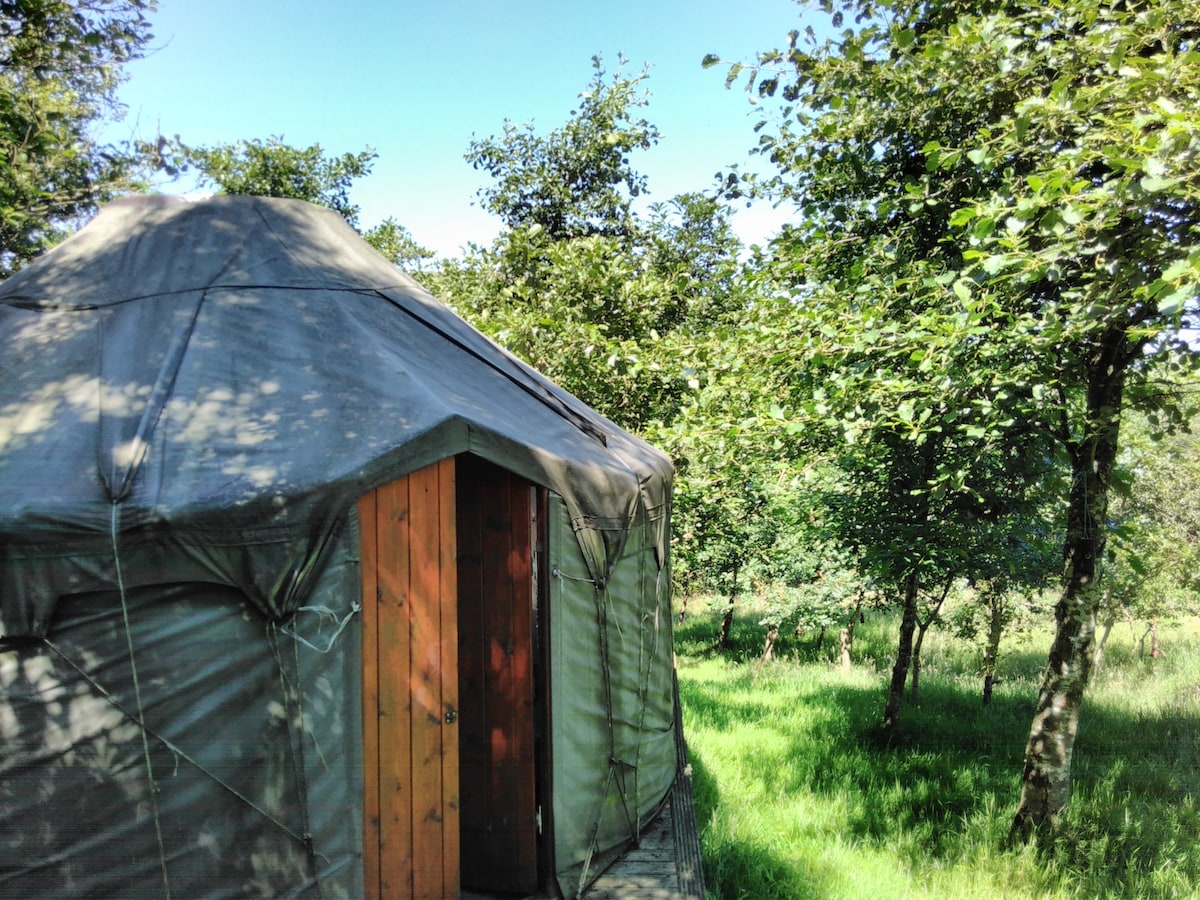 Alden Woodland Yurt, Cronkshaw Fold Farm