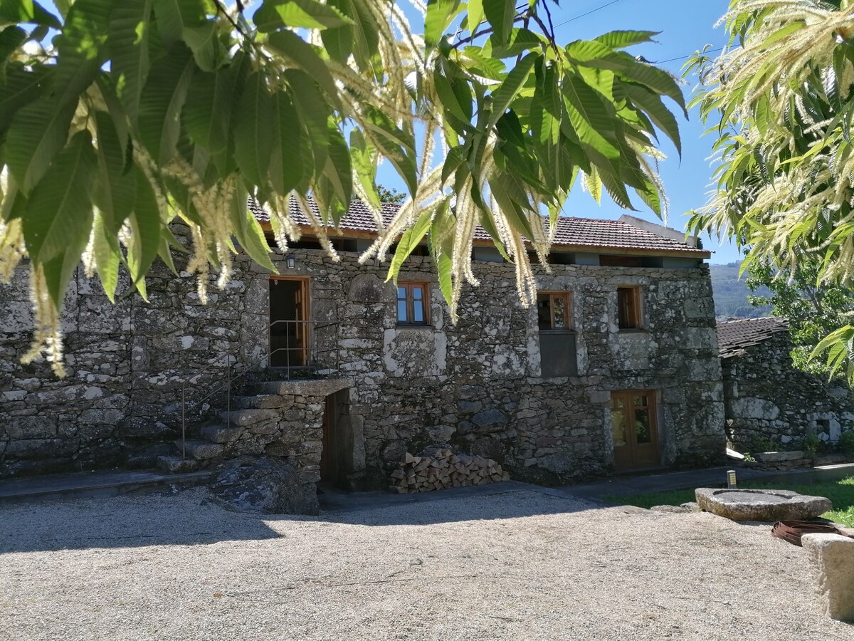 Casa das Bouças ，乡村别墅1