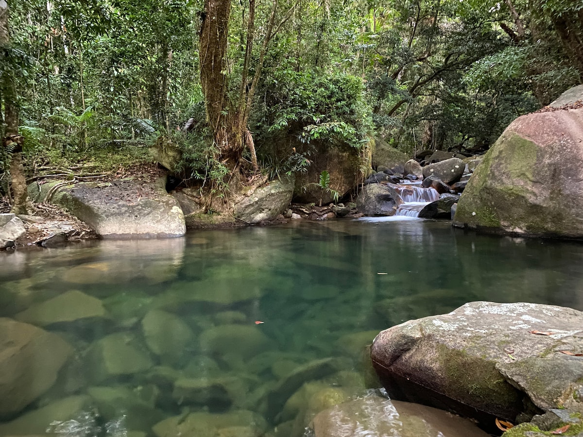 Daintree Secrets雨林保护区