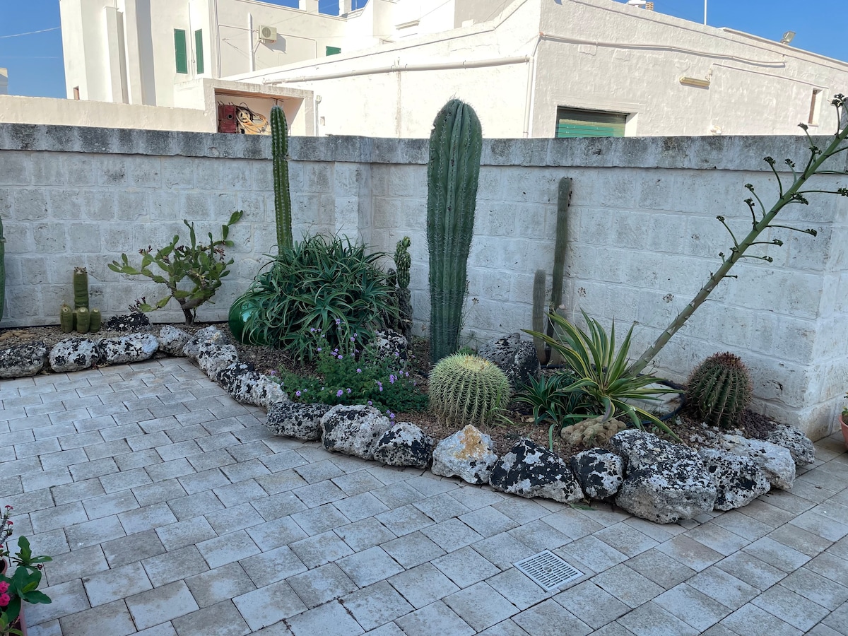 Cactus e ulivi villa a Speziale