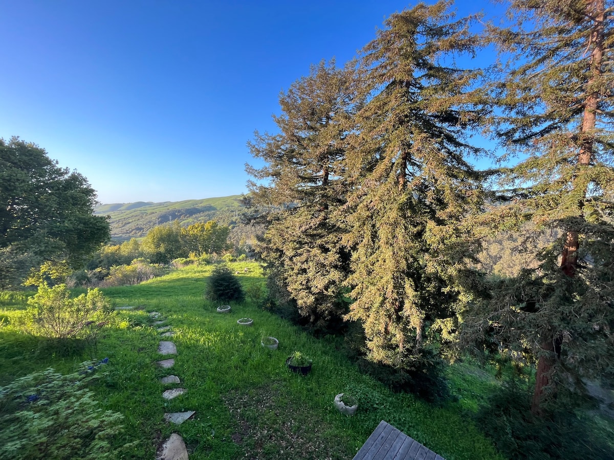 伯克利山庄（ Berkeley Hills Private Retreat ）