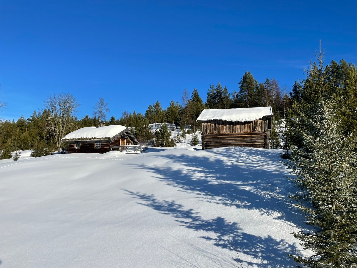 Peaceful cabin in the Norwegian woods