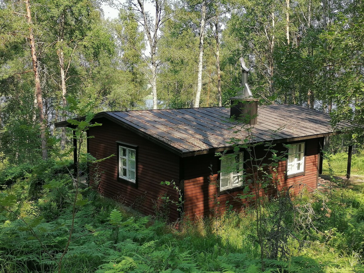 宽敞的小木屋，位于海边安静的森林中