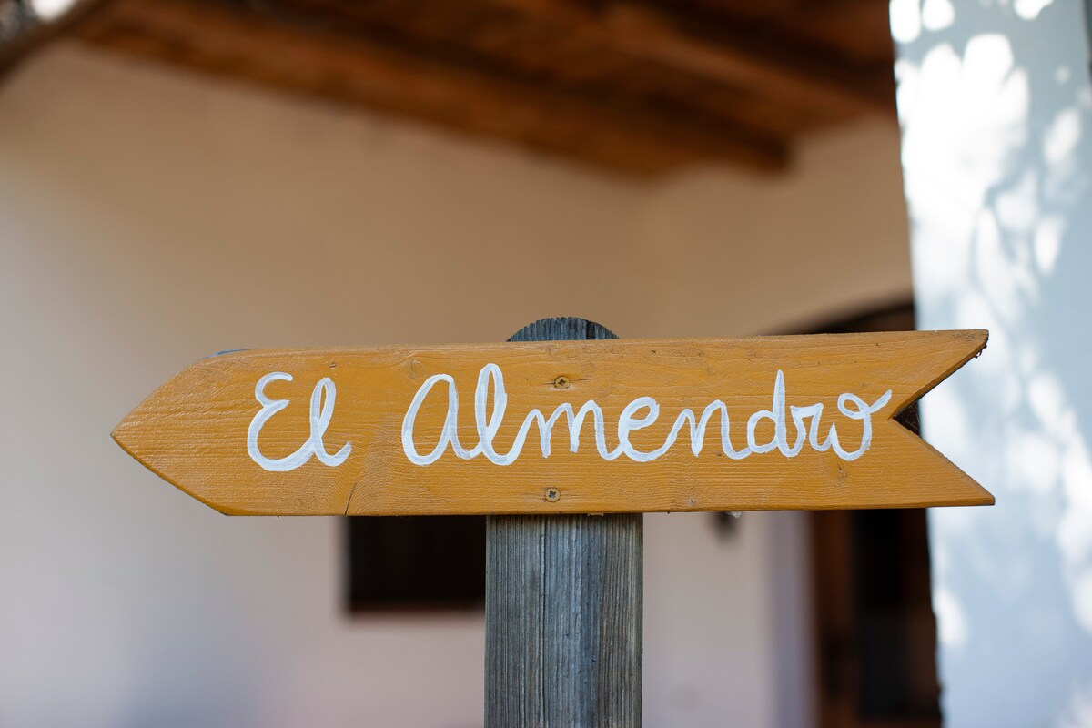 El Almendro套房