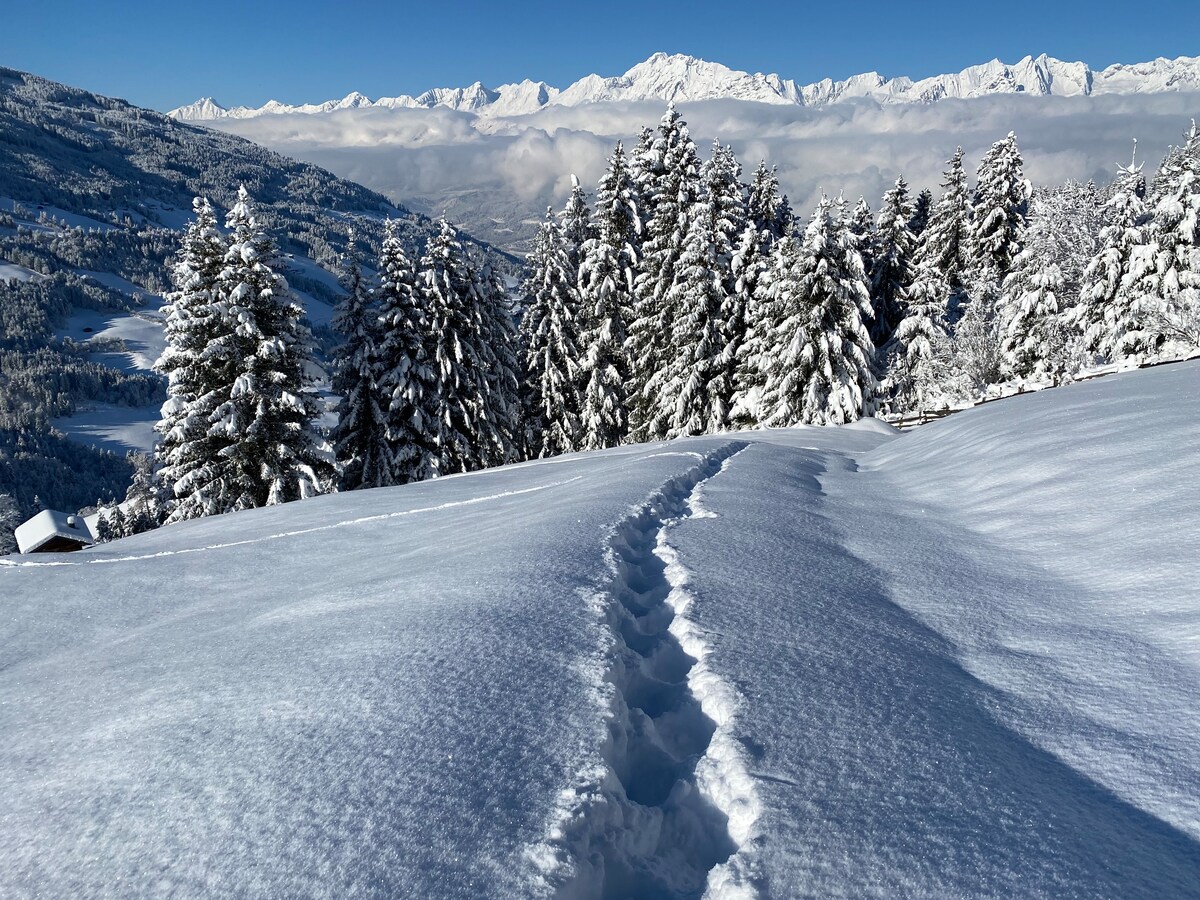 位于蒂罗尔州的Urige Almhütte （ Aste ） ，位于山中