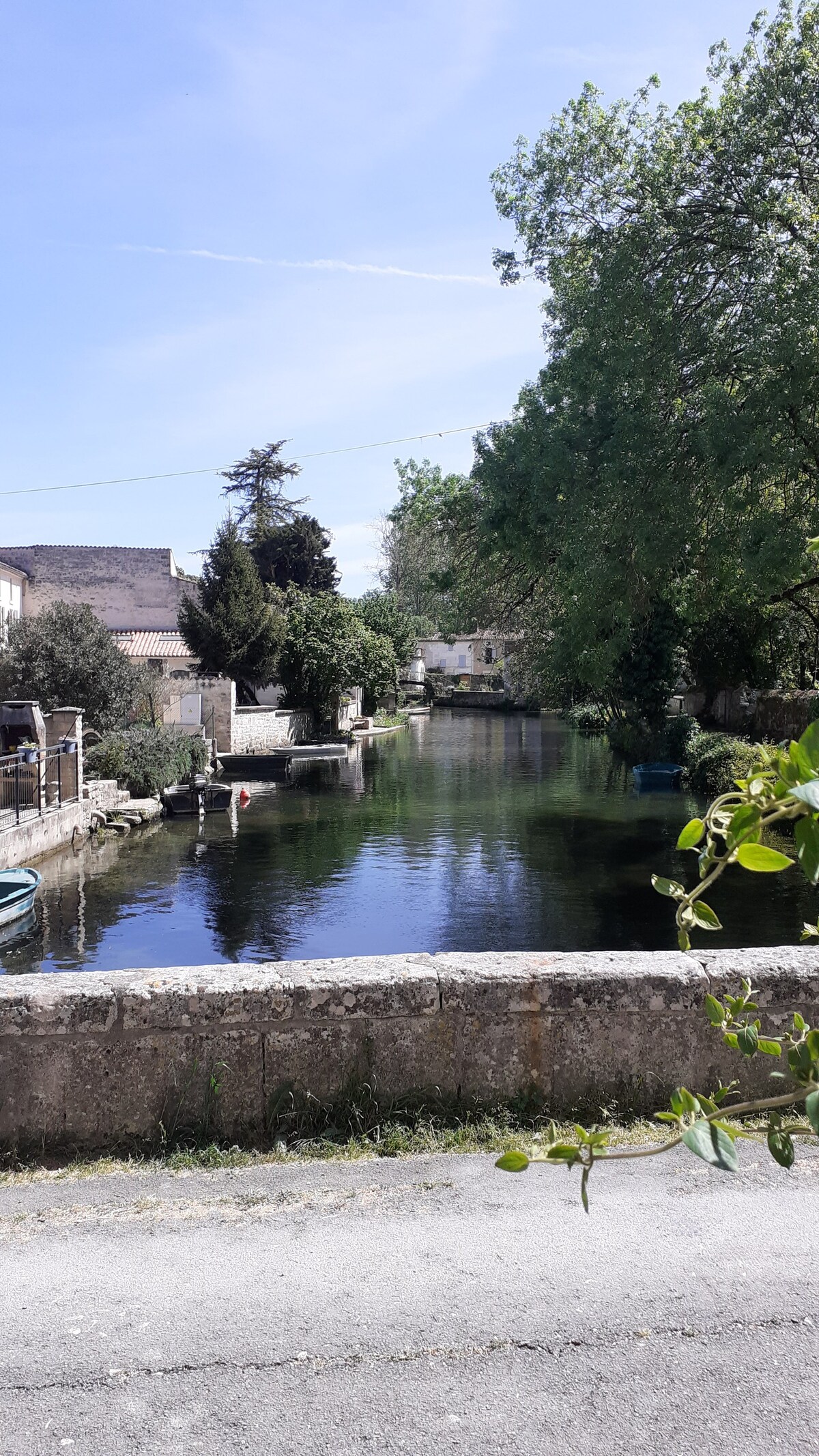 le Moulin de Bassac " L AUBE"