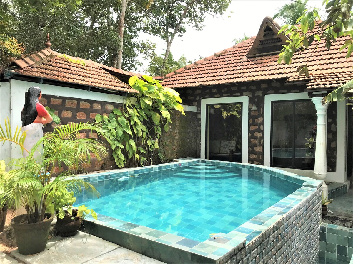 Villa with private swimming pool @Marari beach