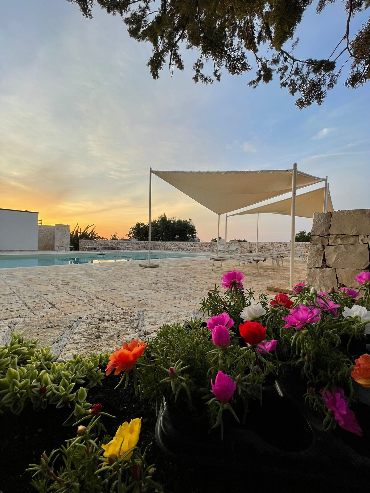 Masseria Fanizzi - Room with Pool View