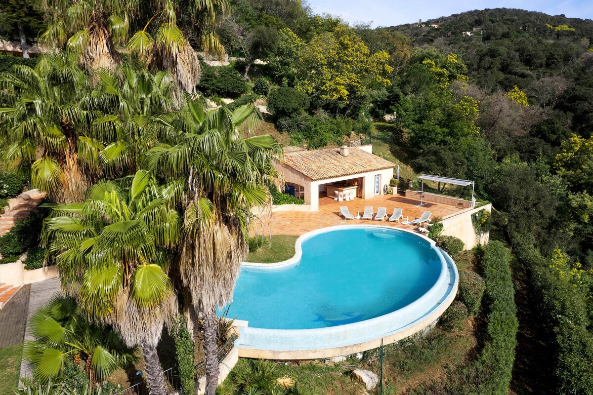 Villa Presqu 'ile St Tropez （ 10人）泳池