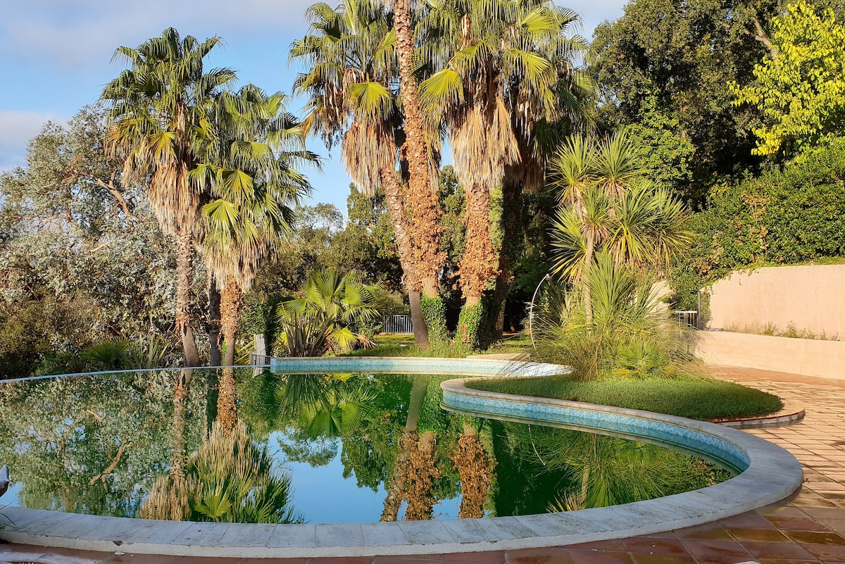 Villa Presqu 'ile St Tropez （ 10人）泳池