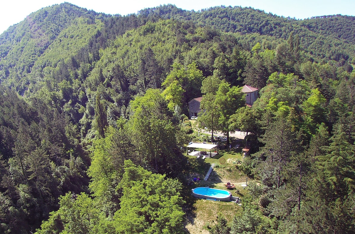 Porcaticcio ，带泳池的森林小屋