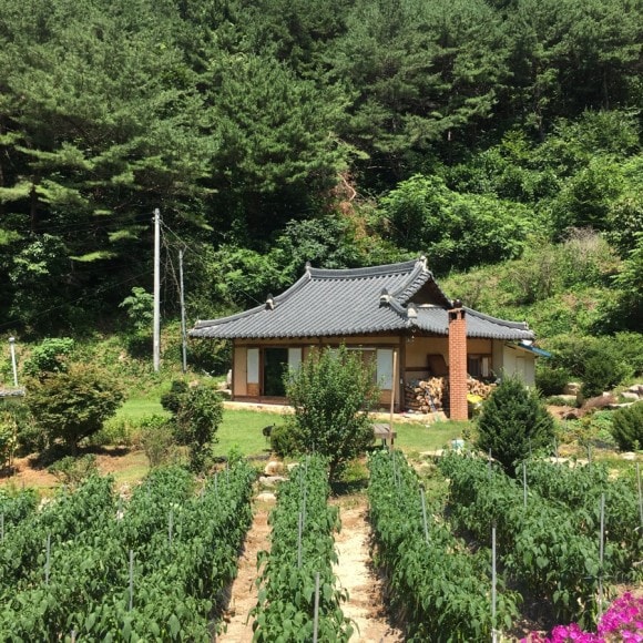 dangjae house Dang Jae-minpaku (Chunyang-myeon, Bonghwa-gun)