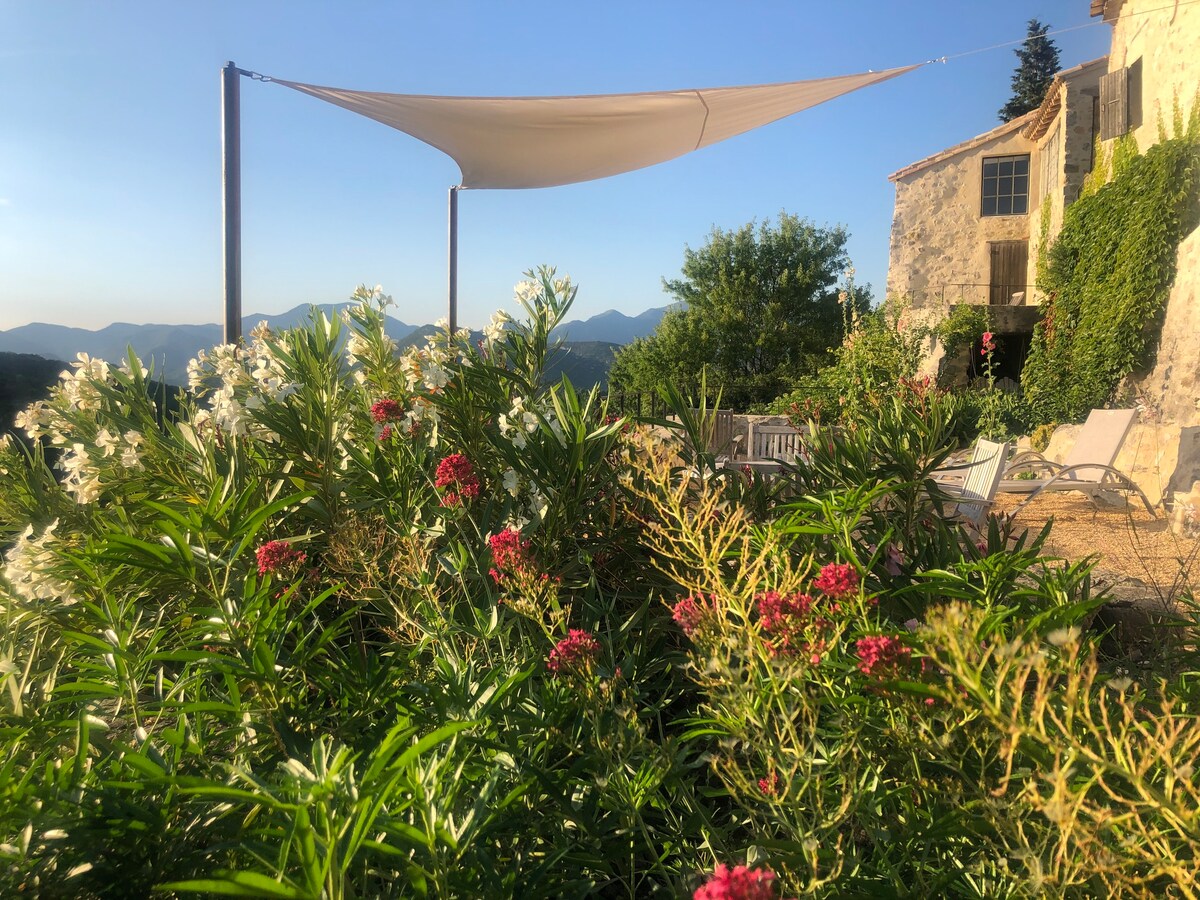 Monteolivo-en-Provence, maison de charme, piscine