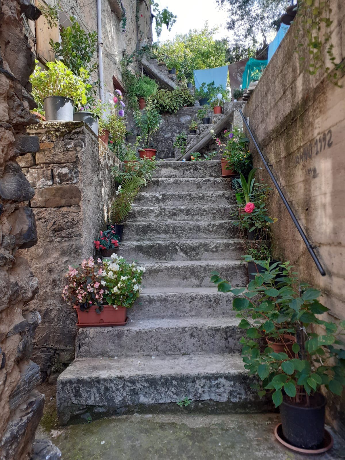 带屋顶露台的塔楼