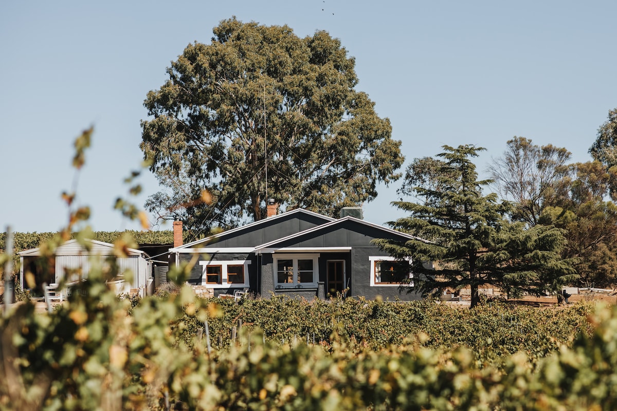 Vine View Cottage - Vineyard near Riesling Trail!