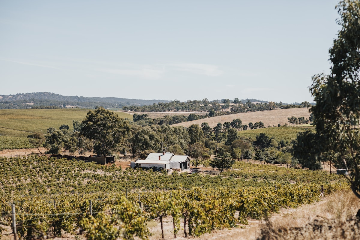 Vine View Cottage - Vineyard near Riesling Trail!