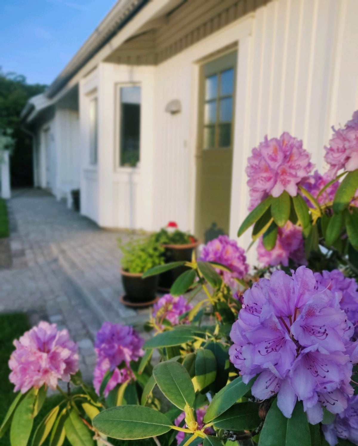 Mysig villa med trädgård i Vejbystrand