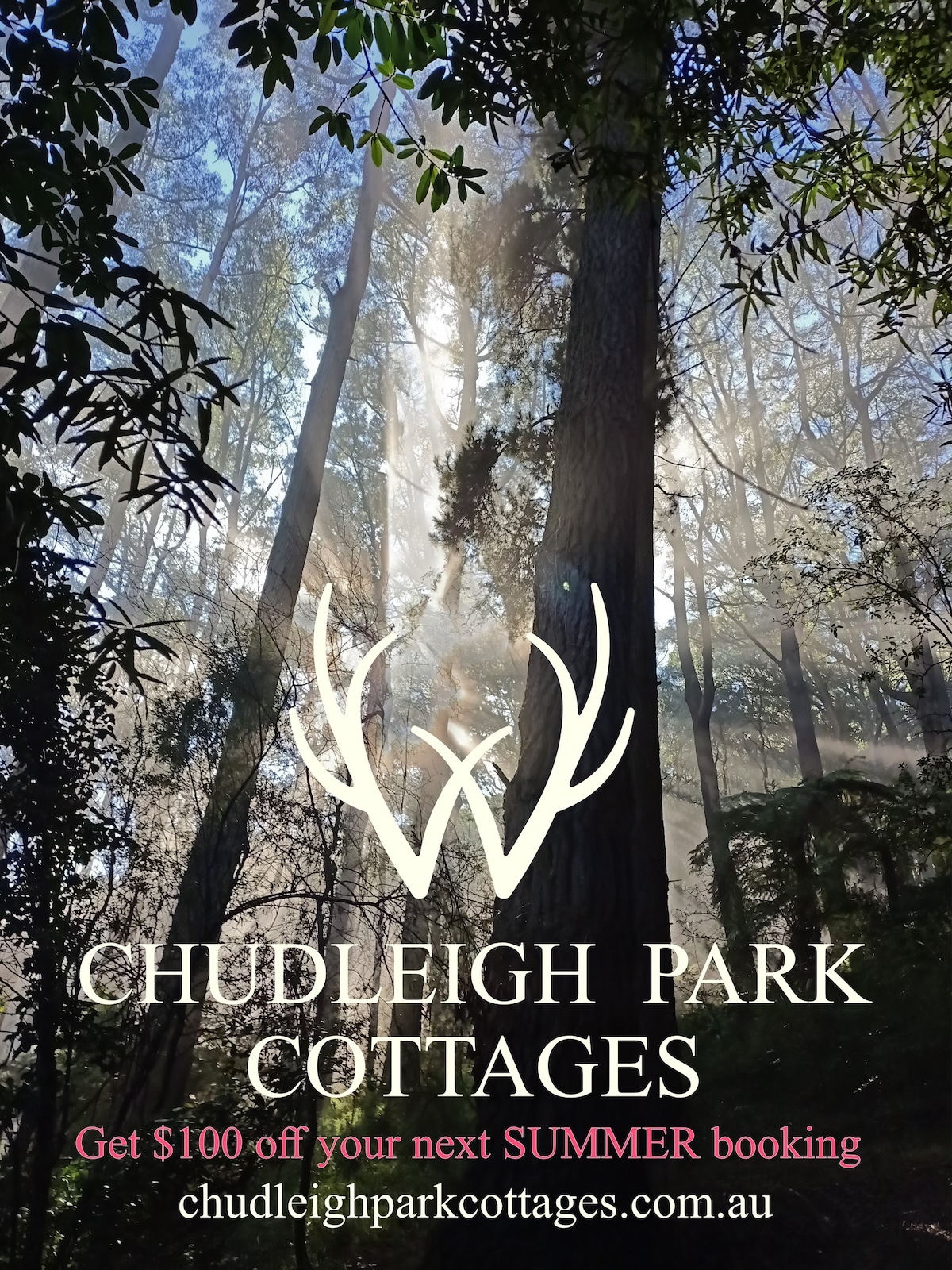 雨林疗愈： Chudleigh公园的North Lodge