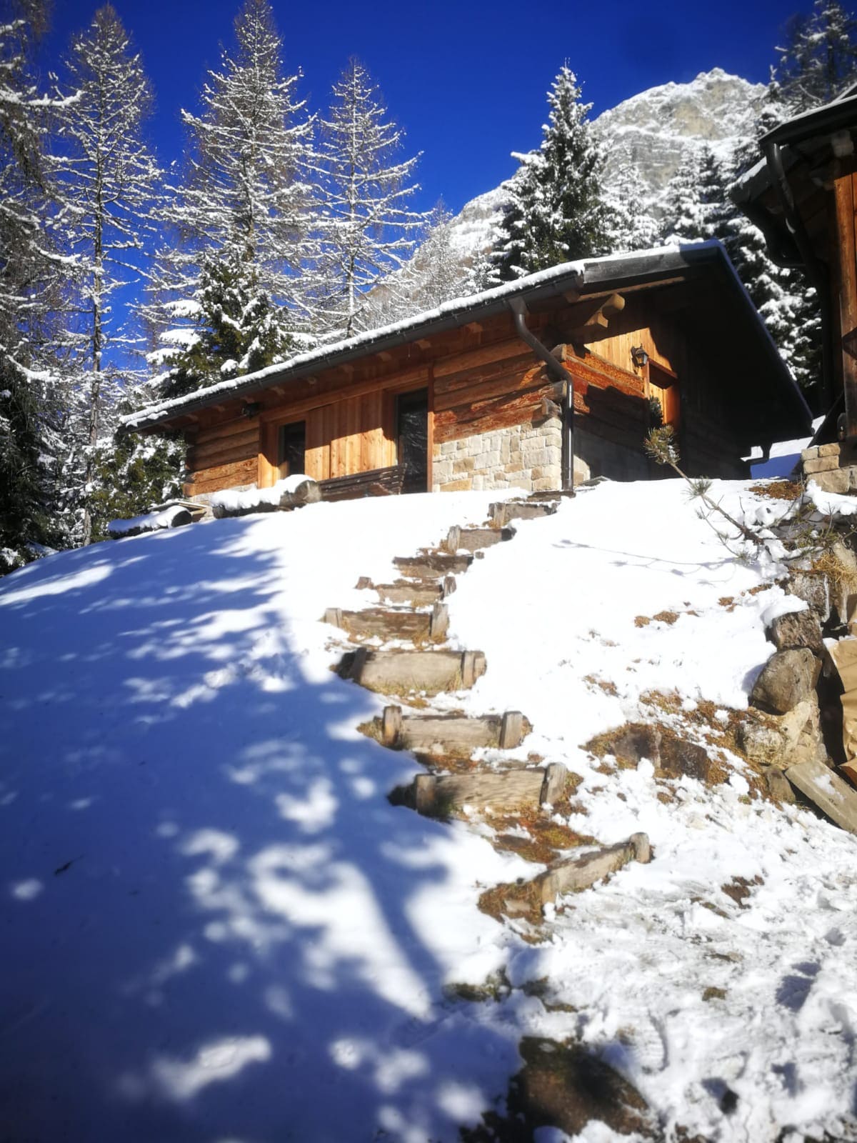 The Voice of THE Forest Selva di Cadore