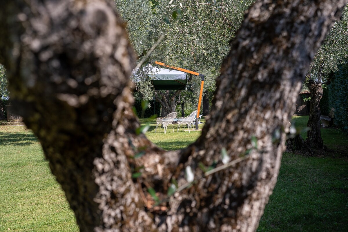 Villa dei Jasomini, Residence in the green