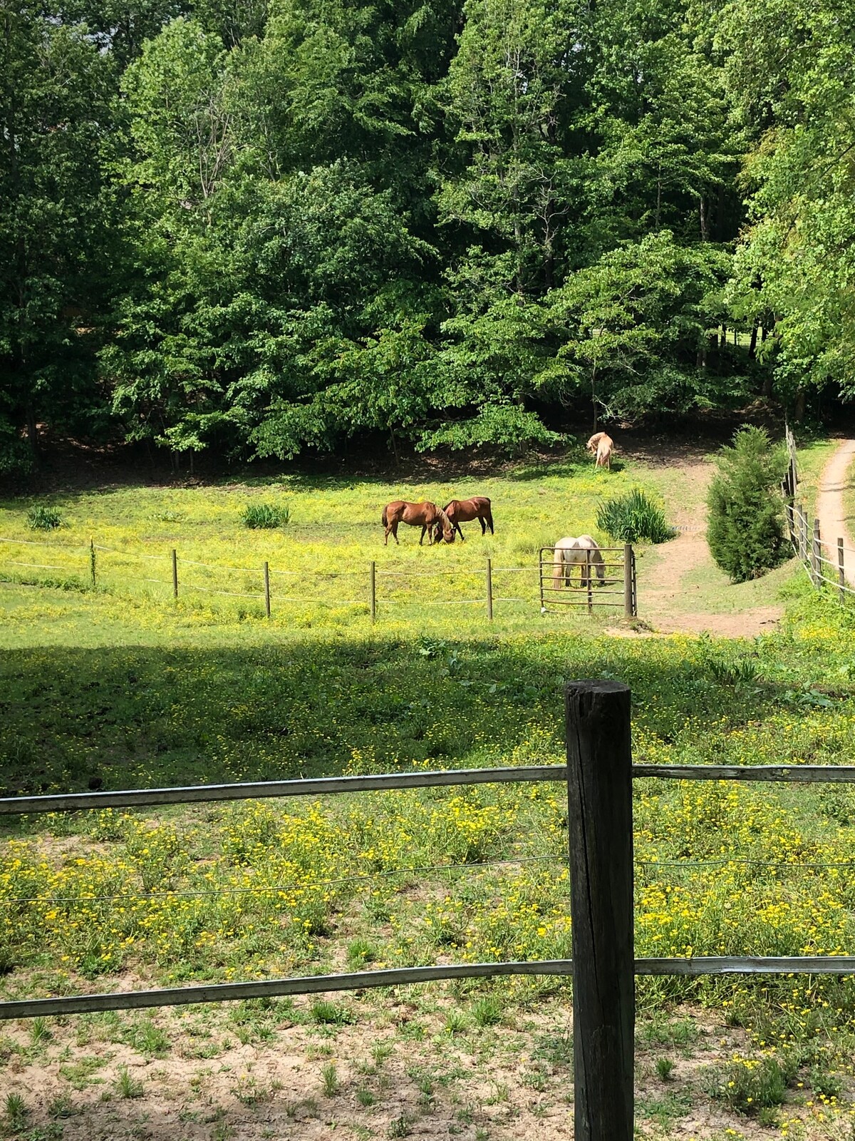 马场（ Horse Farm ）宁静房源，可轻松抵达高速路