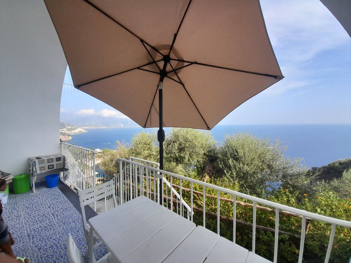 Amalfi 2 ：神奇的海景-免费无线网络