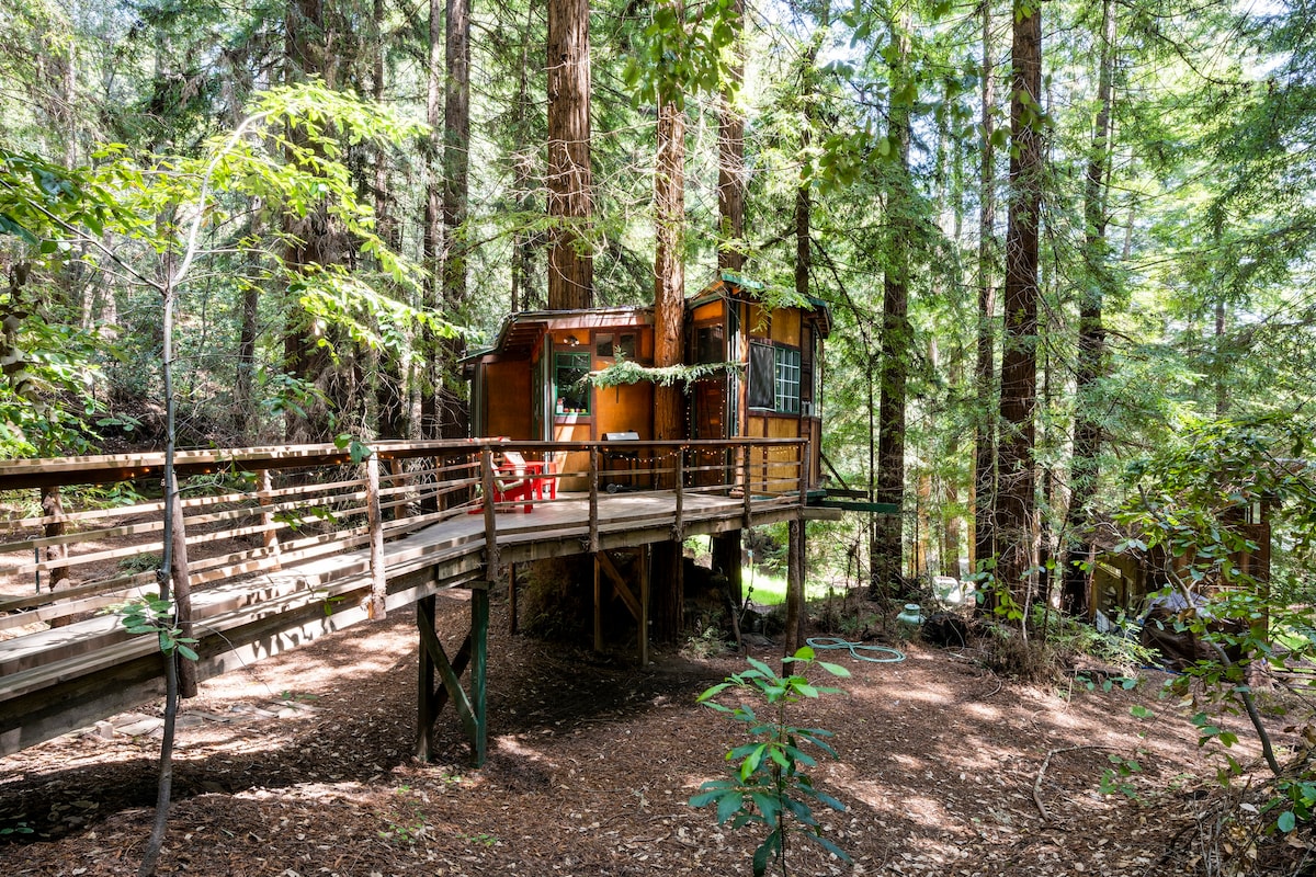 Redwood Treehouse Santa Cruz Mtns.