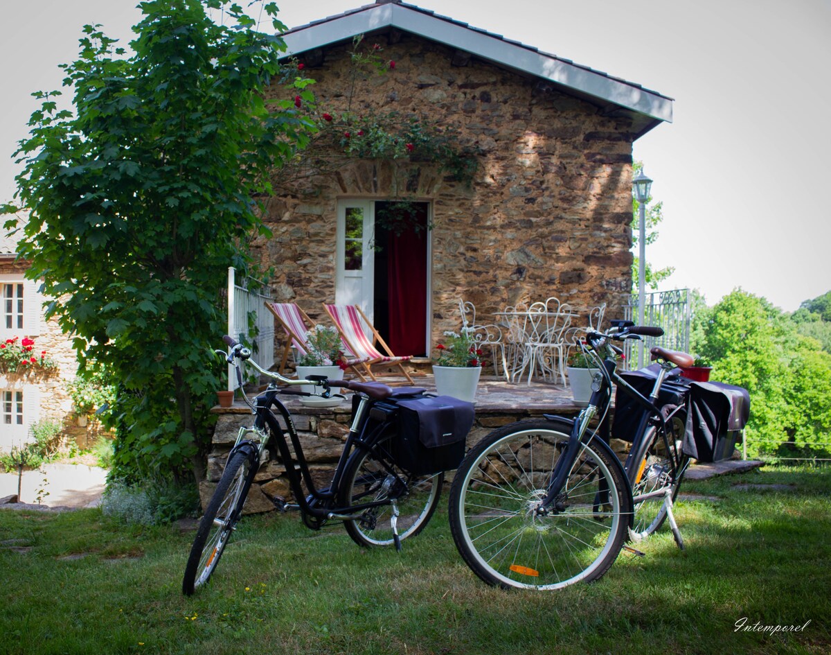 Puech Noly, Tarn, SPA, Hammam, Nature, Gîte Couple