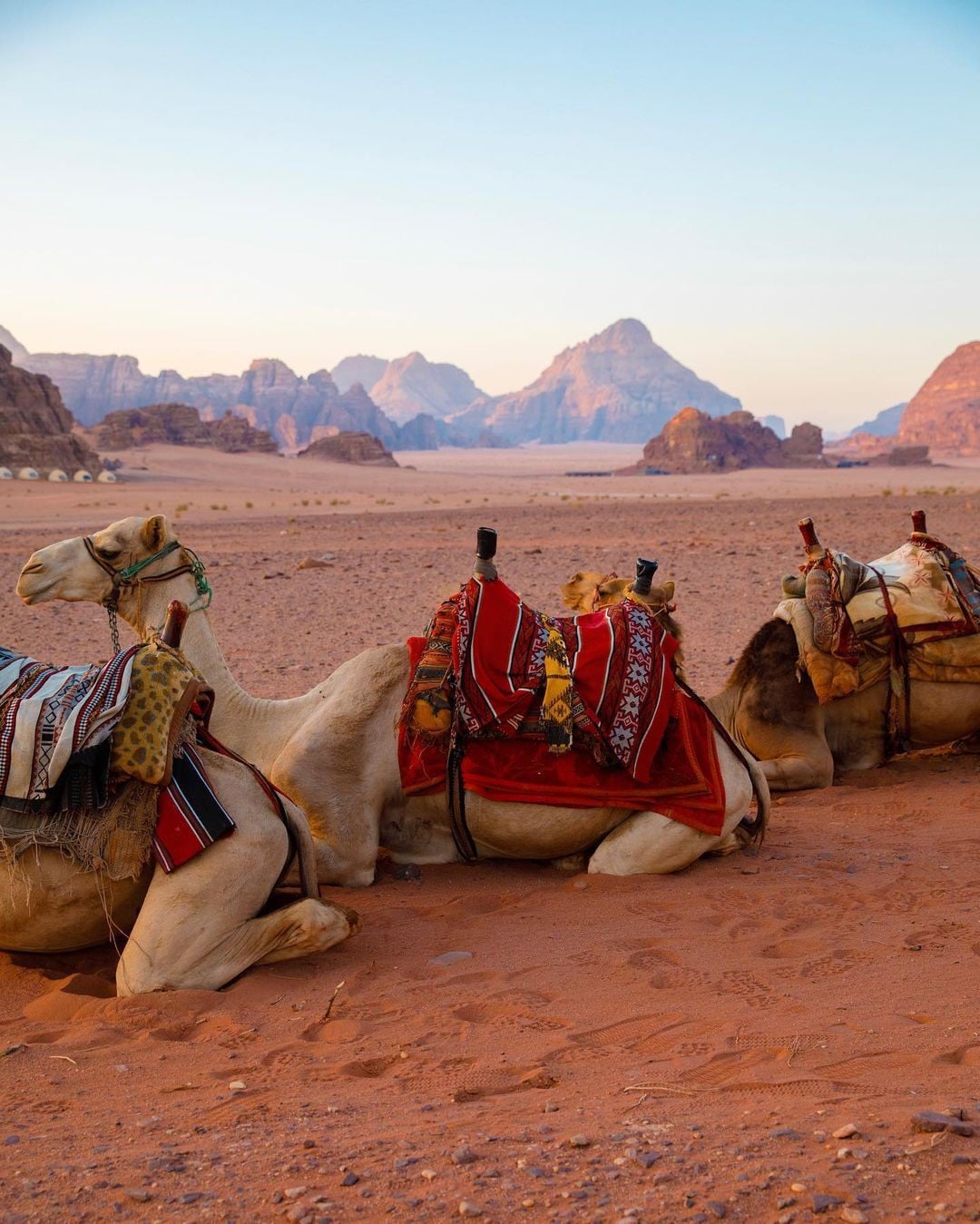 Traditional Deluxe Tent in Wadi Rum Desert