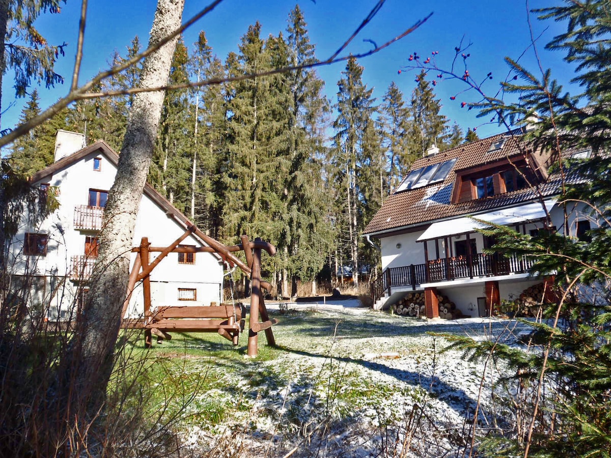 Forest house Tatra single room, Tatranská Štrba