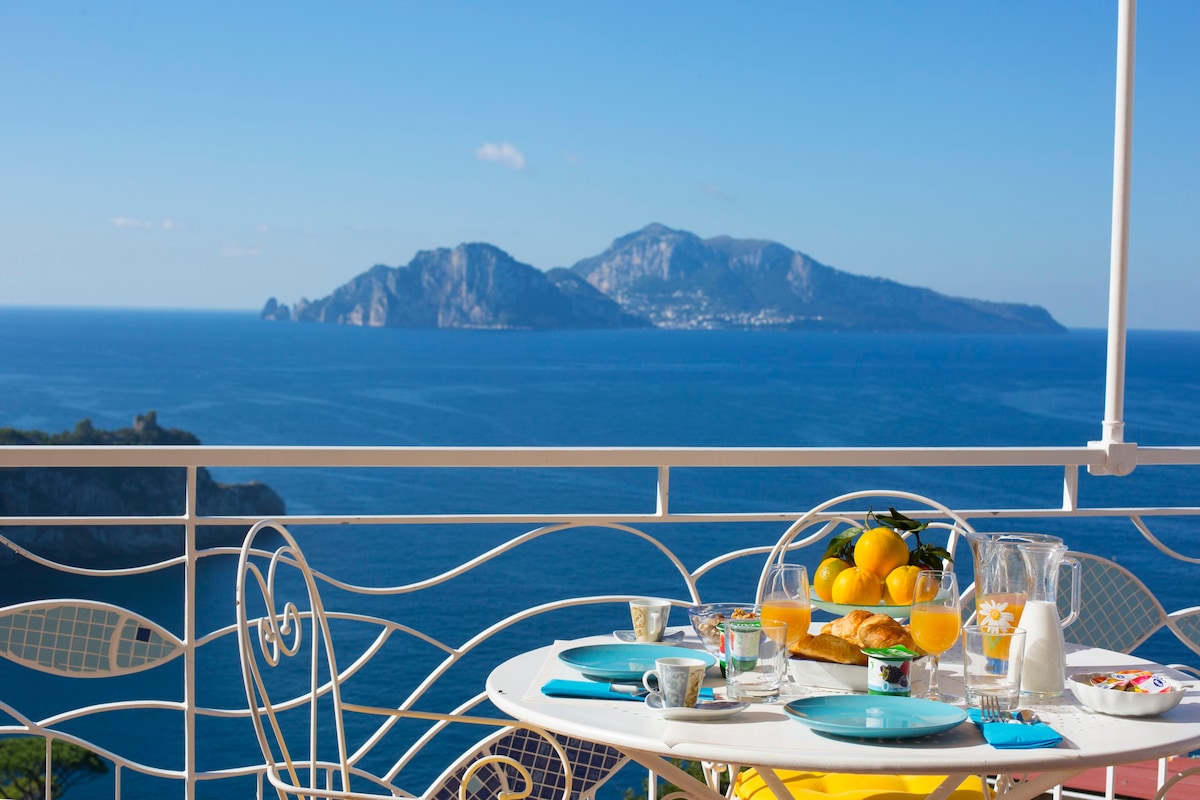 Lina 's Dream - Capri and Ischia View