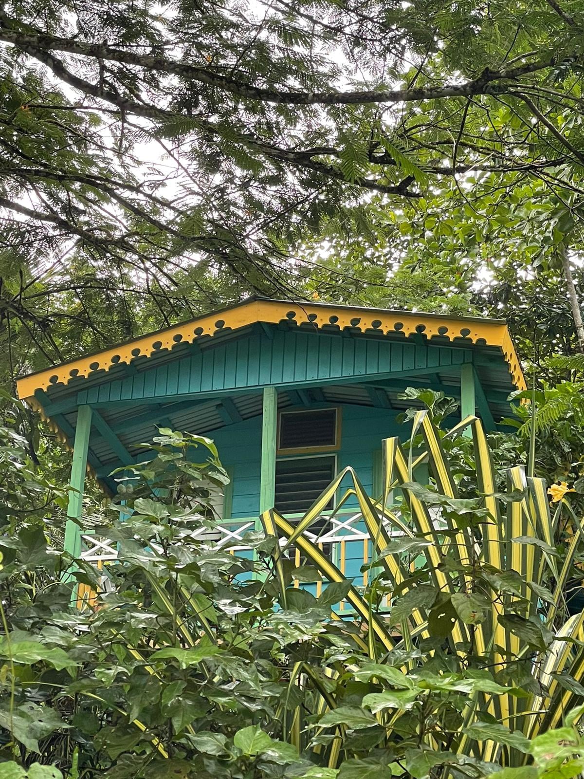 芭芭拉-雨林边缘生态小屋