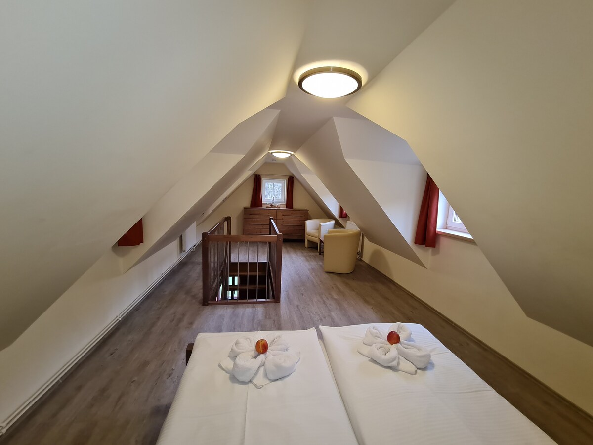 Room for 4 in the mountains - Carlsbad - Czech Rep