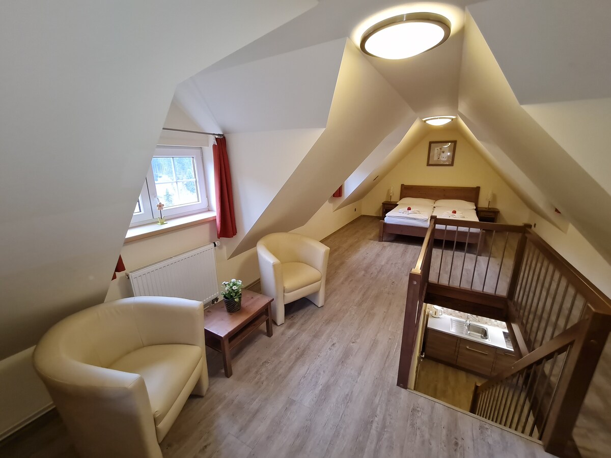 Room for 4 in the mountains - Carlsbad - Czech Rep