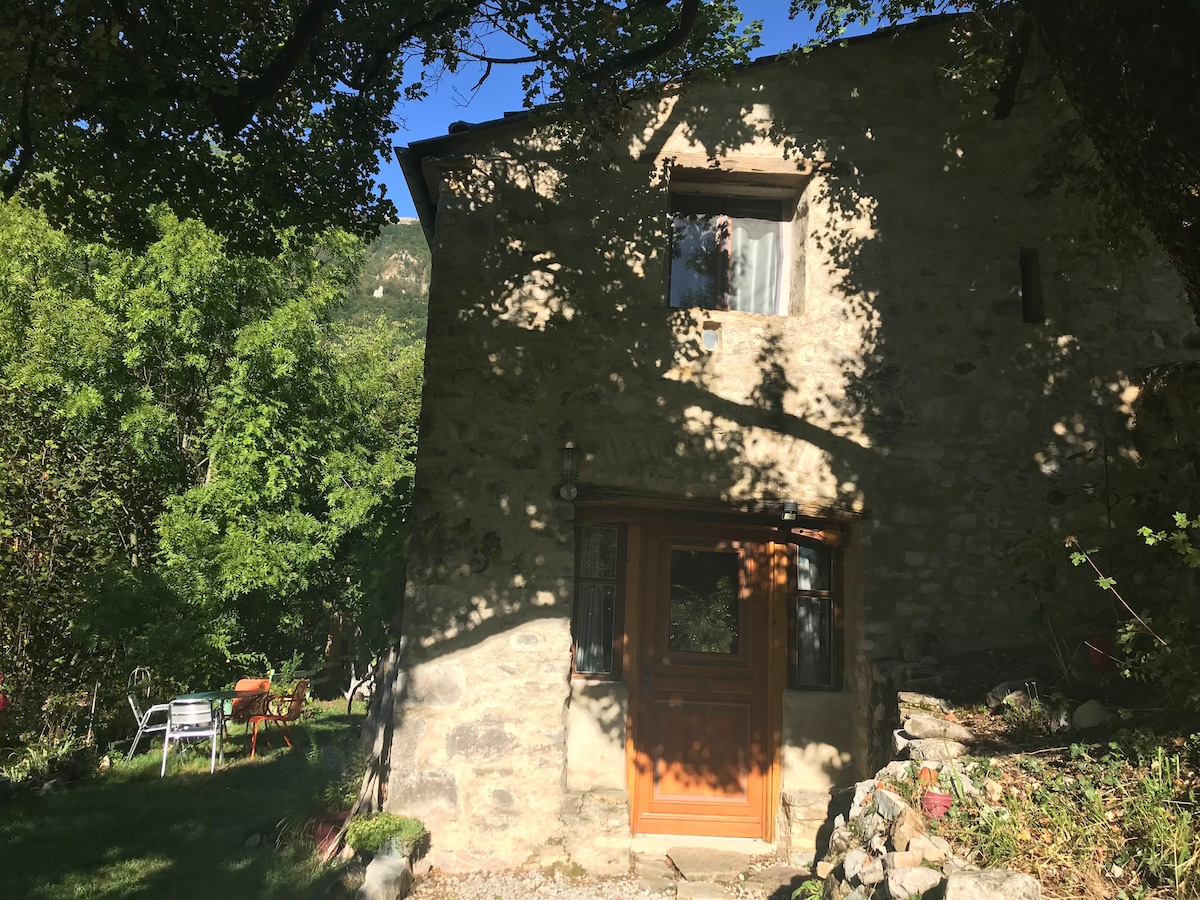 Erable des Juges, maison isolée. Vercors sud.