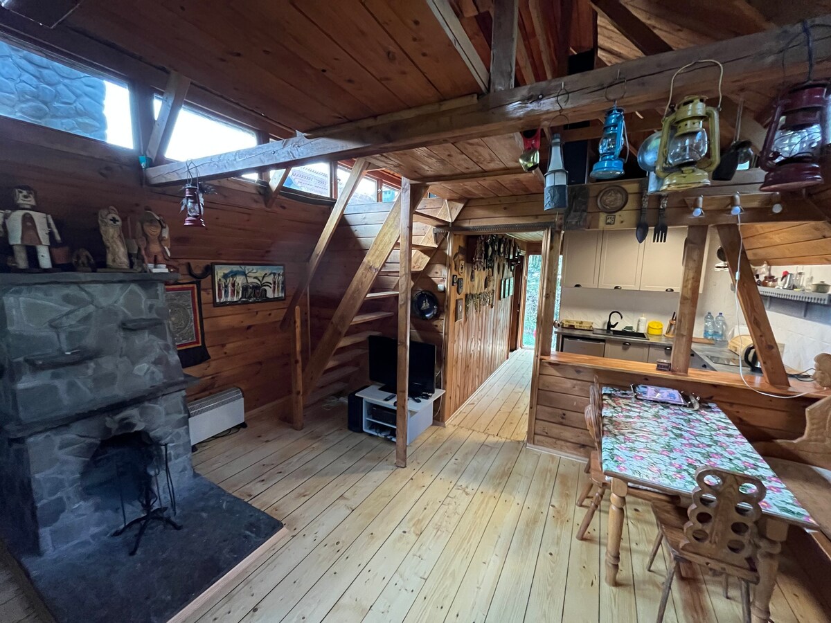 Wooden cottage with sauna and fireplace