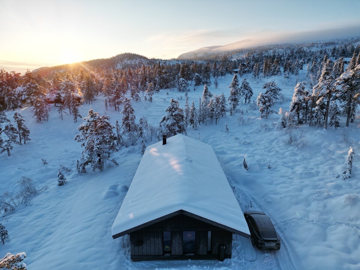奥斯陆最近的高山上的现代小屋
