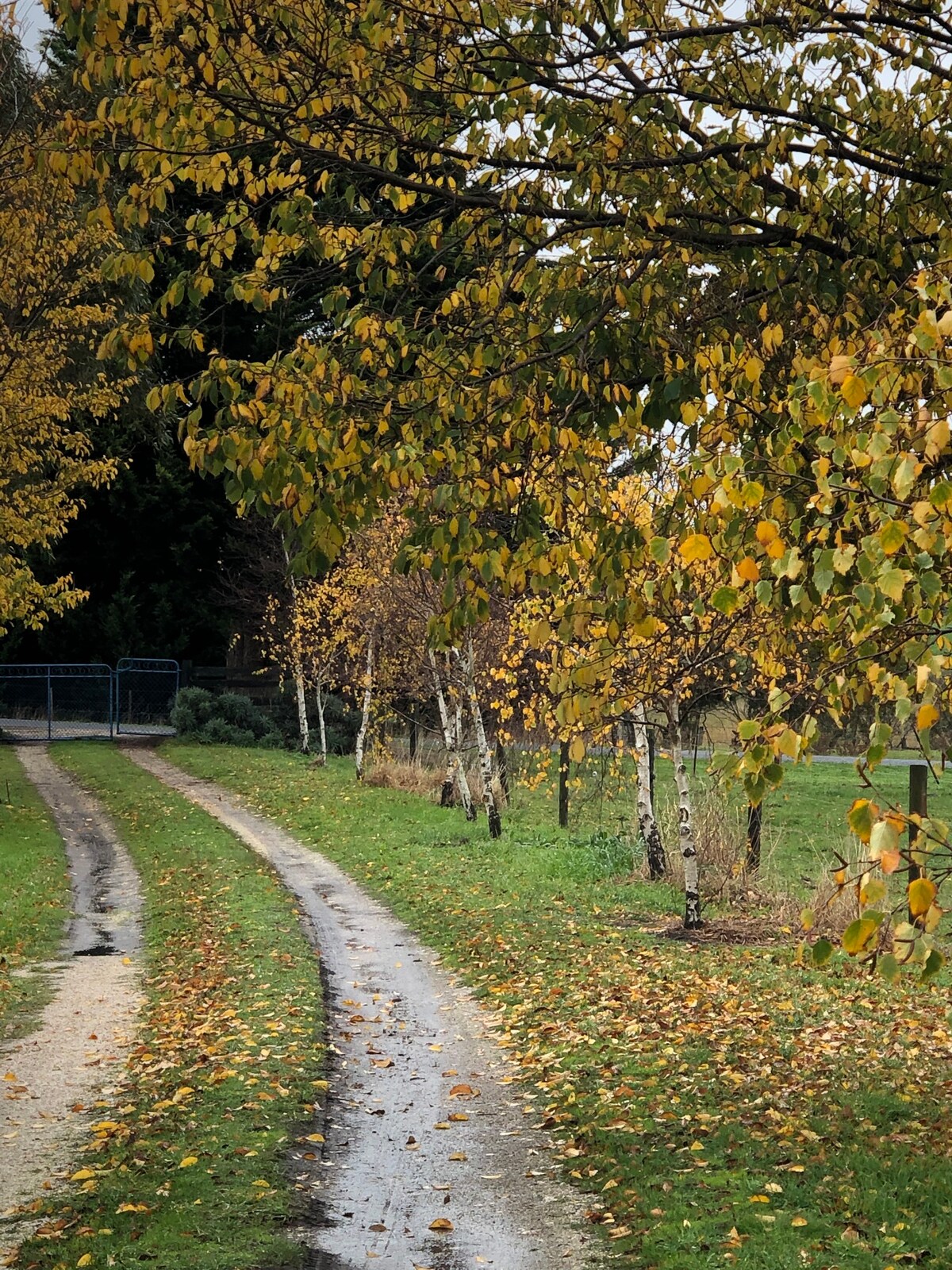 Barrabool Hills Retreat B&B, Vic.Q.2.