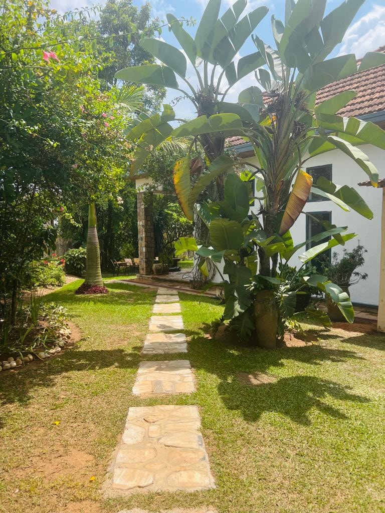 Kigali棕榈花园