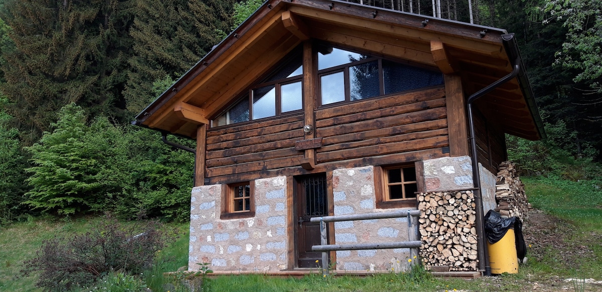 Vacanza Relax nel Parco Naturale Adamello Brenta