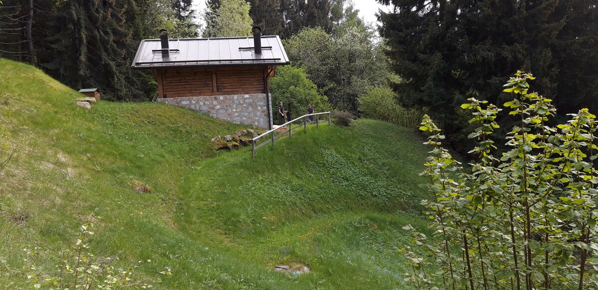 Vacanza Relax nel Parco Naturale Adamello Brenta