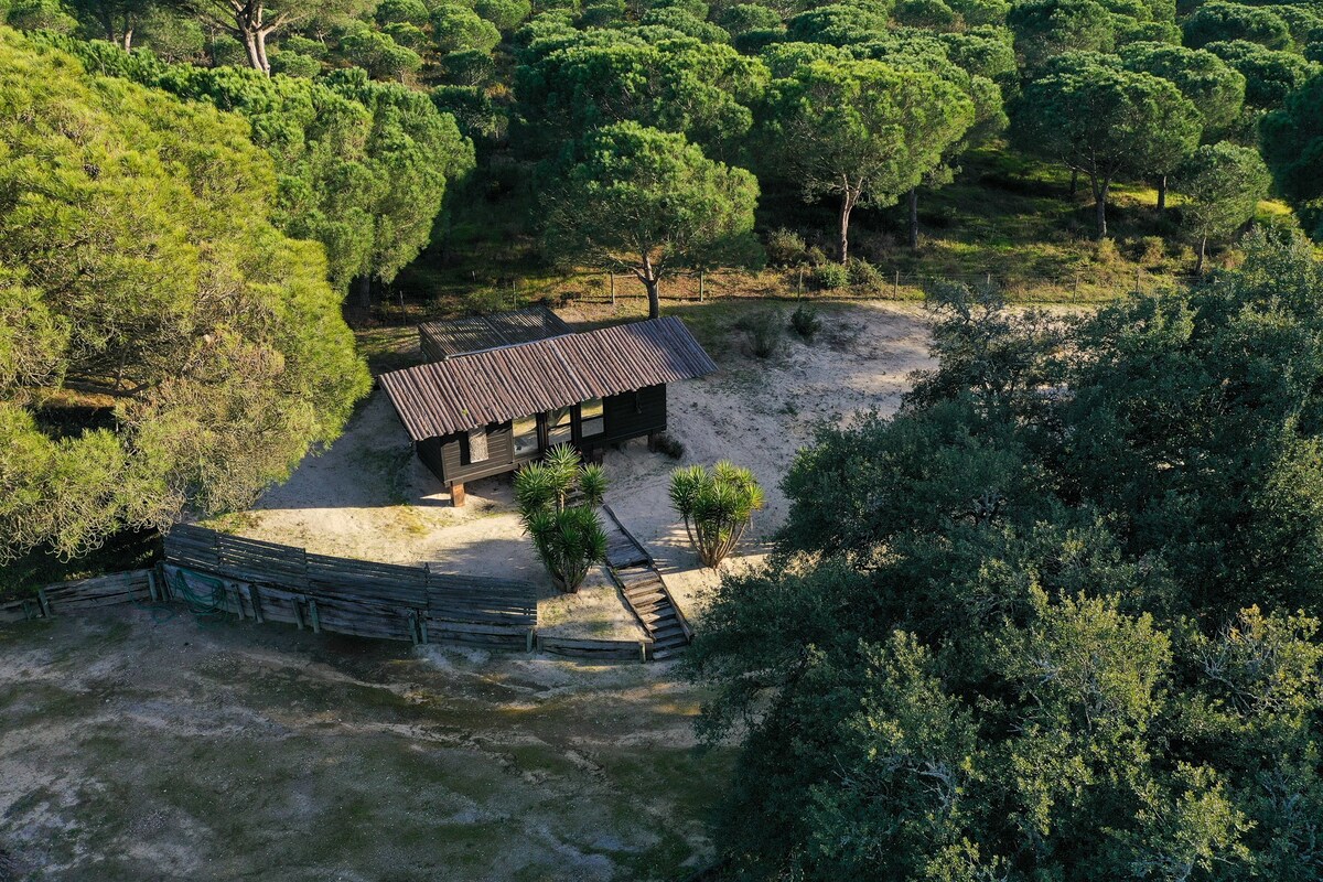 The Nature House - The Cabin