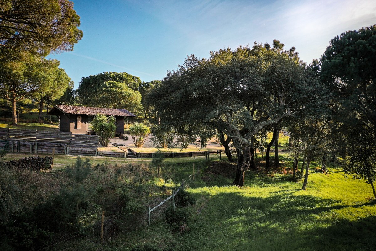 The Nature House - The Cabin