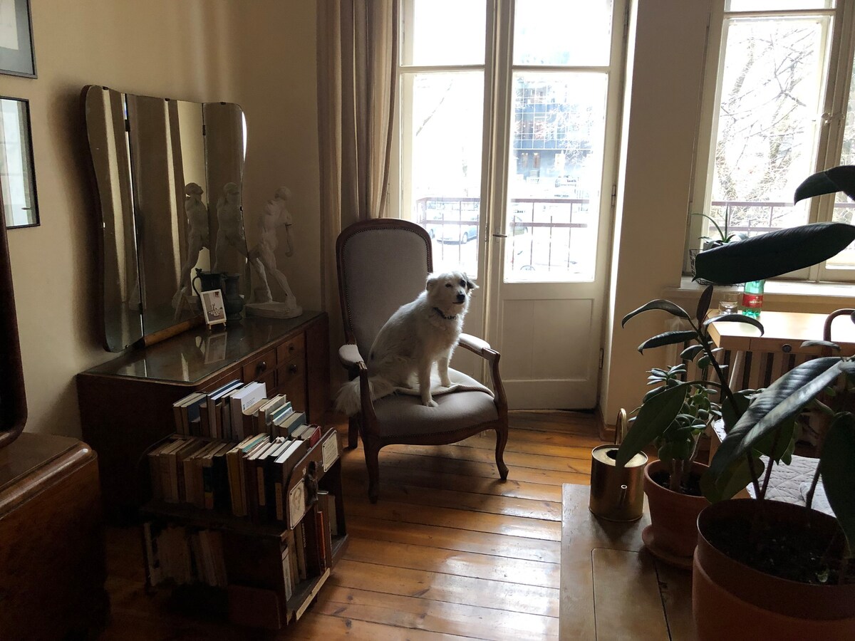 ♥ Charming private room B / CENTRAL