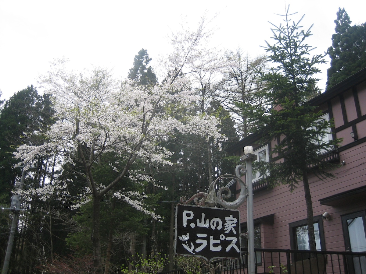 美丽的住宿加早餐，有温泉Rm6